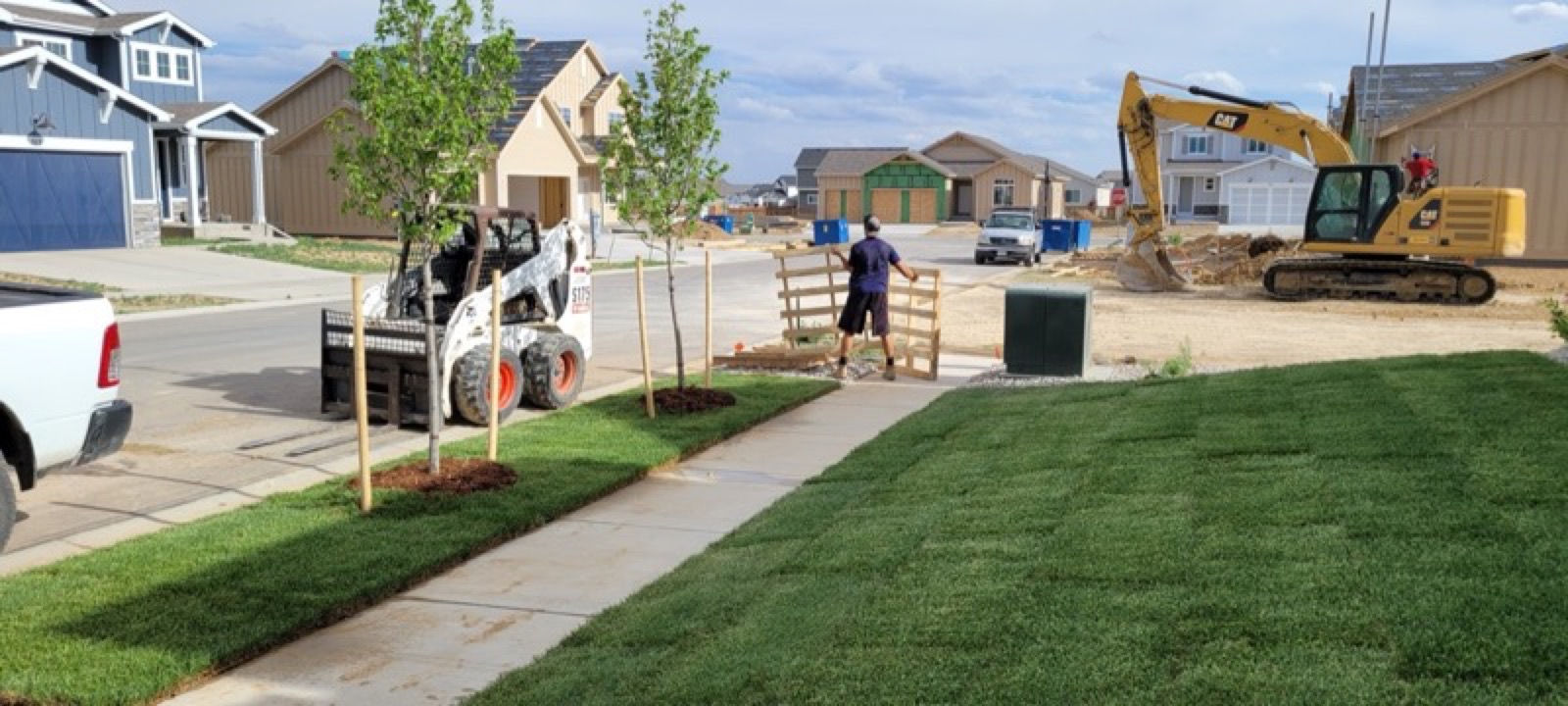 Pristine St. Augustine sod with crisp edged border
